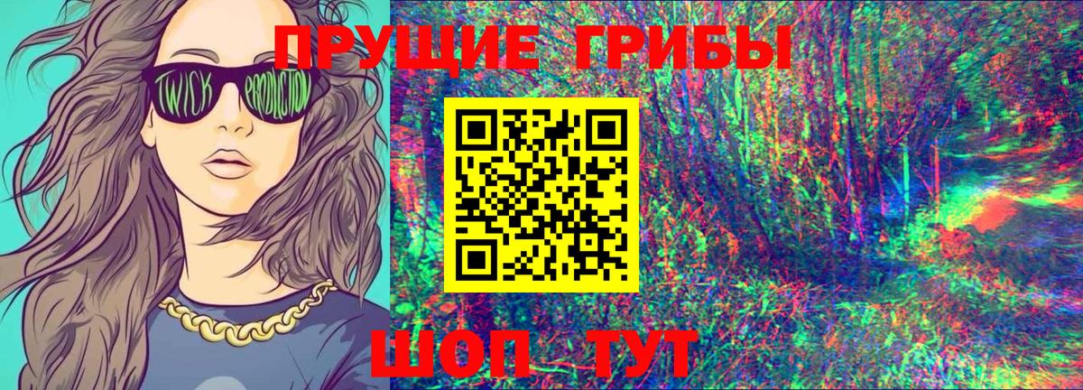 Псилоцибиновые грибы мицелий  купить наркотики сайты  Гурьевск  Вход с VPN 